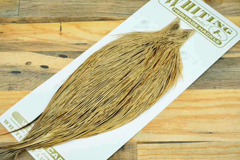 Whiting Heritage Grade 1 Badger Cape #0083