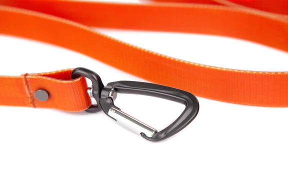 Fishpond Dog Leash