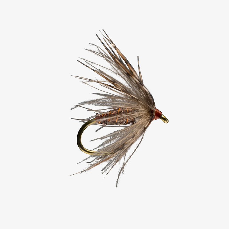 Rio Partridge Soft Hackle w/ Bead - Brown