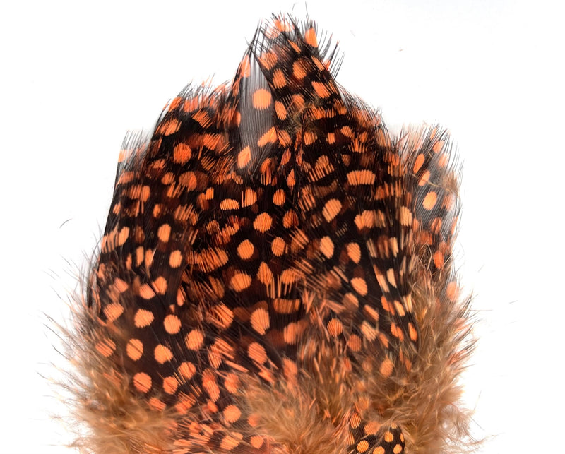 Nature's Spirit Fish Hunter Large Dot Guinea Feathers