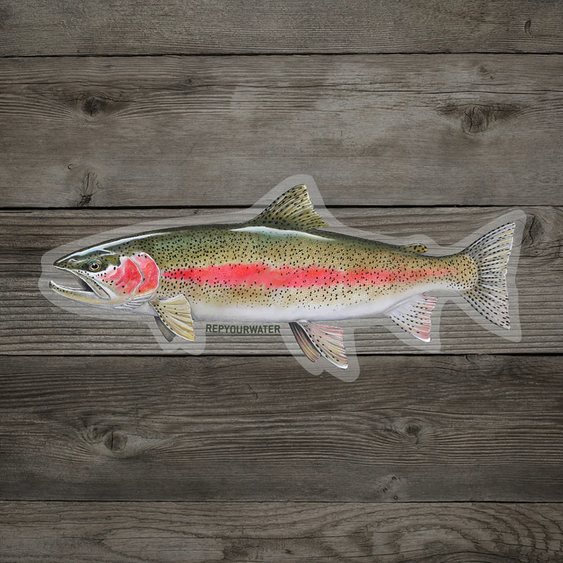 Rep Your Water Cold Water Rainbow Sticker