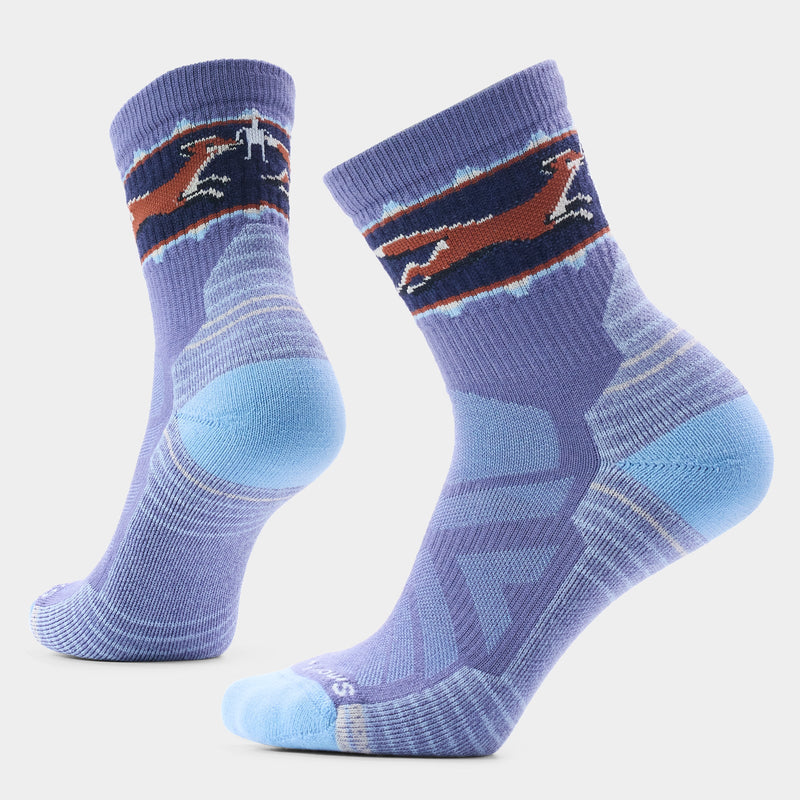 Smartwool Women's Hike Light Cushion Fox Meadow Mid Crew Socks