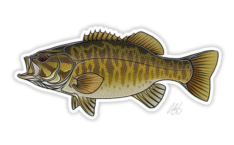 Casey Underwood Smallmouth Bass Sticker