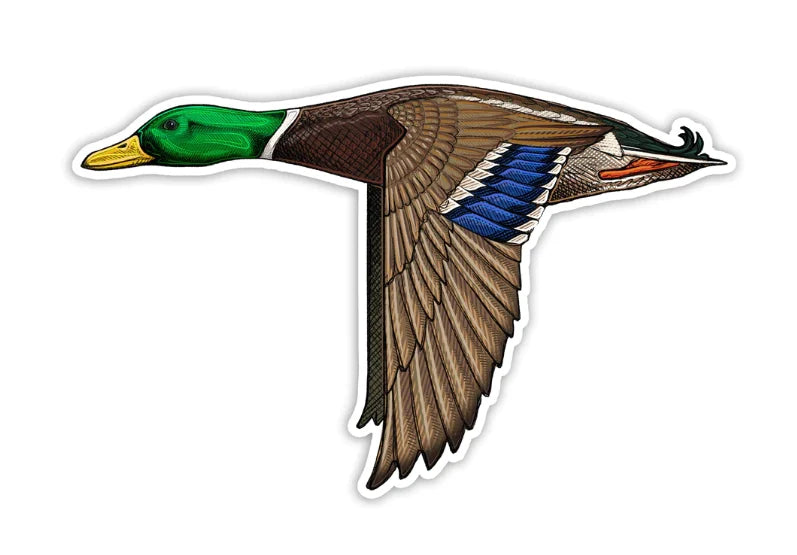 Casey Underwood Mallard Sticker