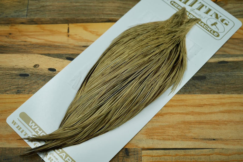 Whiting Heritage Grade 2 Badger Cape #0041