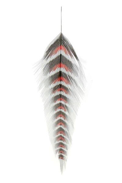 Montana Fly Company Galloup's Fish Feathers