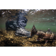 Patagonia Foot Tractor Wading Boots Sticky Rubber Forge Grey Image 08