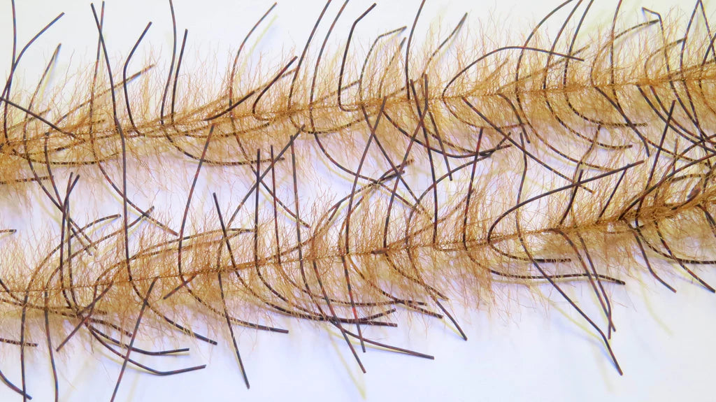Renzetti Lively Leg Crustacean Brush