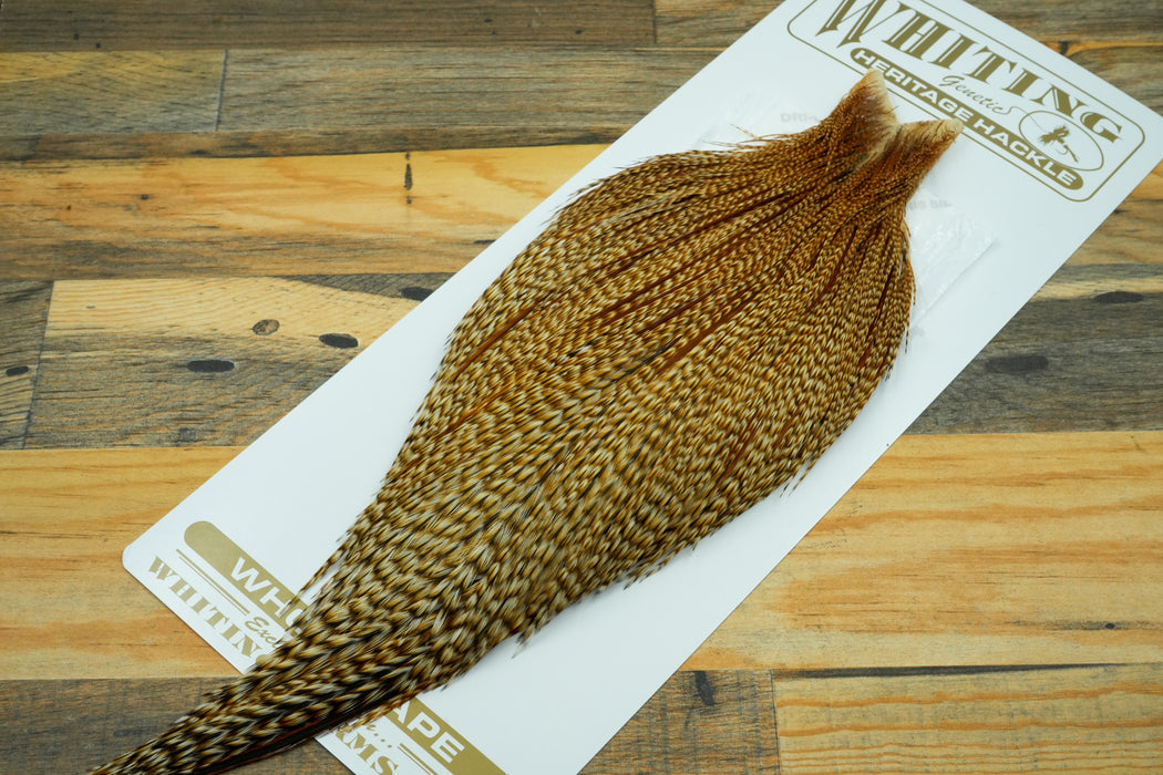 Whiting Heritage Cape Grade 2 Barred Ginger #110