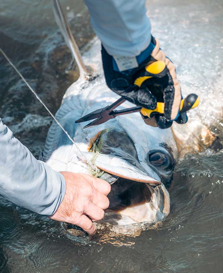 Loon Outdoors Apex Needle Nose Pliers