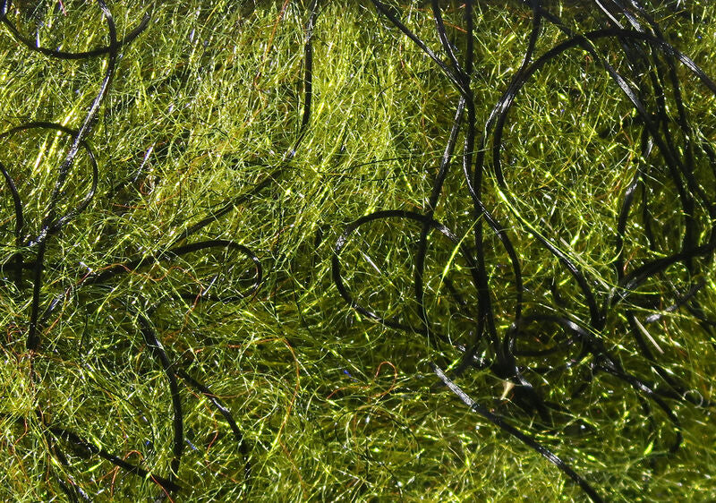 Hareline Cohen's Carp Dub