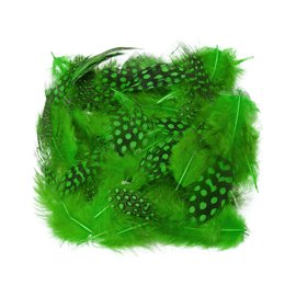 Wapsi Guinea Body Feathers