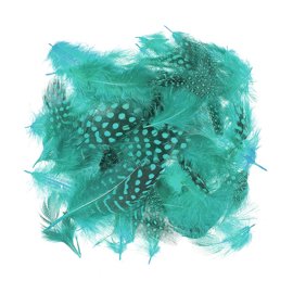 Wapsi Guinea Body Feathers