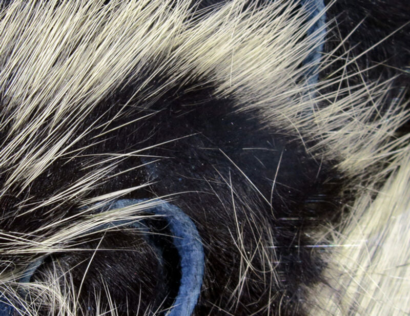 Hareline Frostip Rabbit Strips