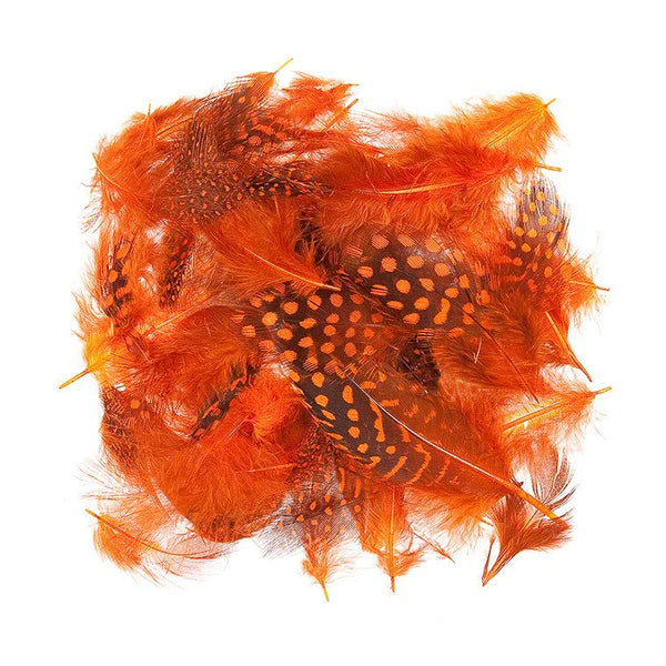 Wapsi Guinea Body Feathers