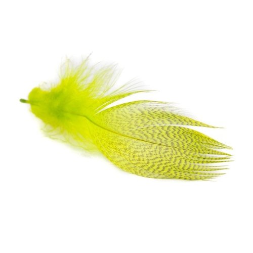 Wapsi Mallard Barred Flank