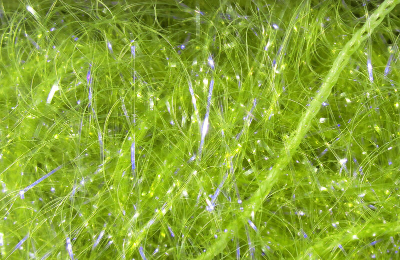 Hareline Large UV Polar Chenille