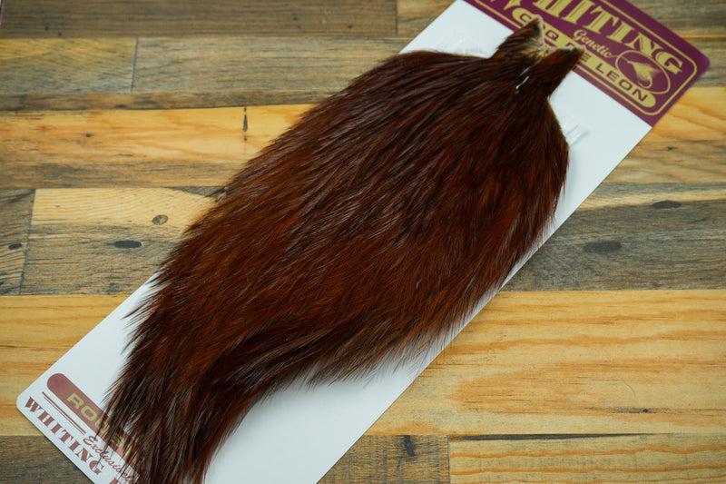 Whiting Coq de Leon Cape