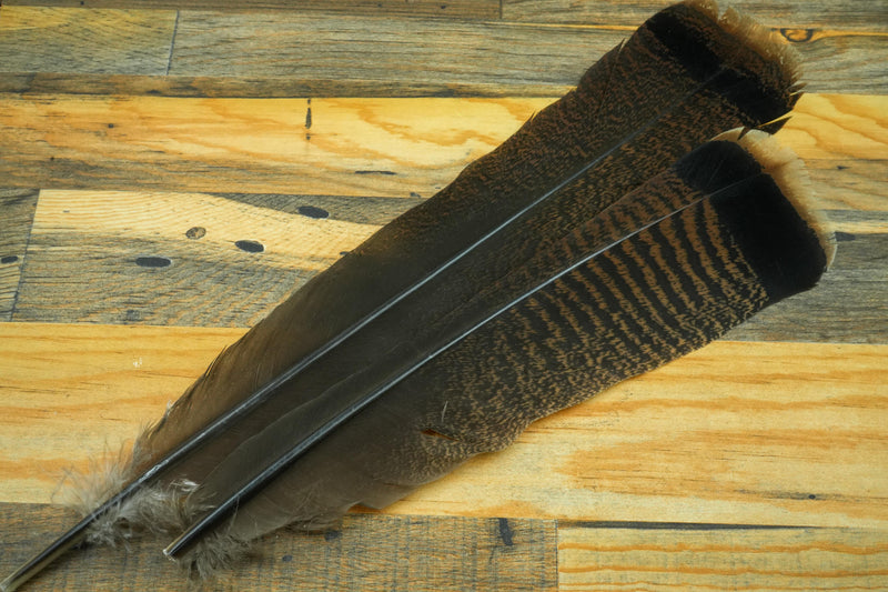 Wapsi Ozark Turkey Tail Cinnamon Tip