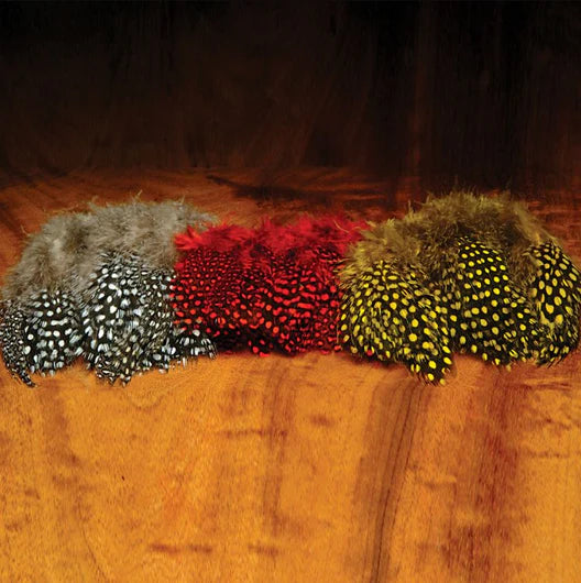 Wapsi Guinea Body Feathers